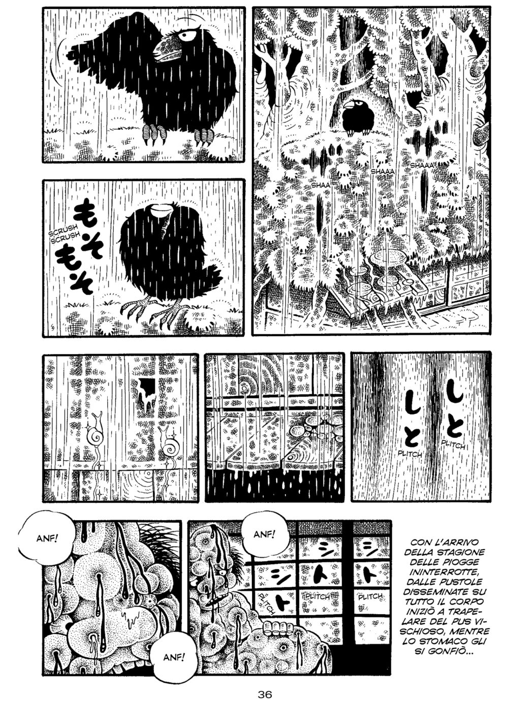 36