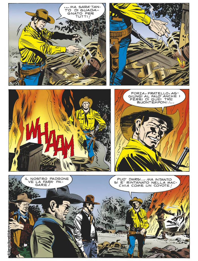 Tex bisonte bianco